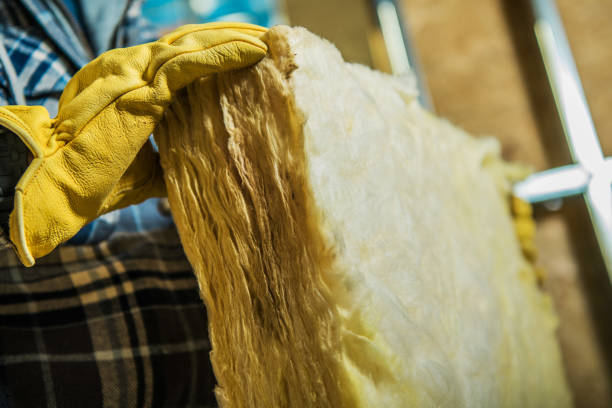 Best Attic Insulation Installation  in Prospect, KY
