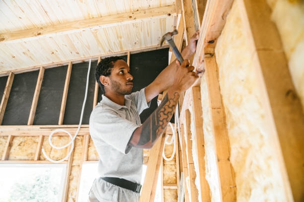 Best Energy-efficient Insulation  in Prospect, KY